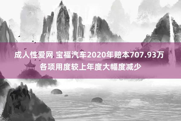 成人性爱网 宝福汽车2020年赔本707.93万 各项用度较上年度大幅度减少