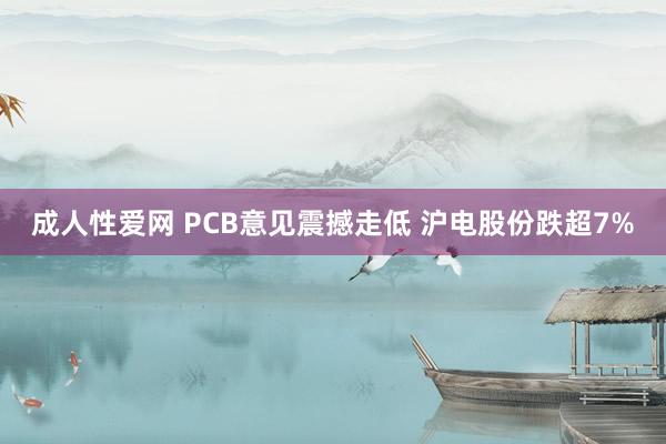 成人性爱网 PCB意见震撼走低 沪电股份跌超7%