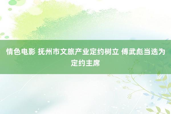 情色电影 抚州市文旅产业定约树立 傅武彪当选为定约主席