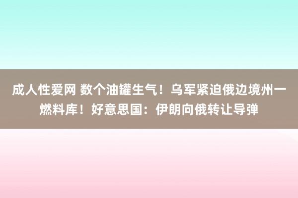 成人性爱网 数个油罐生气！乌军紧迫俄边境州一燃料库！好意思国：伊朗向俄转让导弹