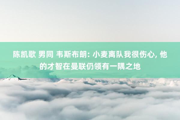 陈凯歌 男同 韦斯布朗: 小麦离队我很伤心， 他的才智在曼联仍领有一隅之地