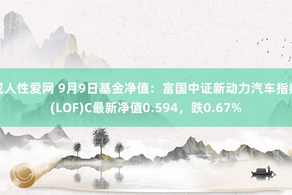 成人性爱网 9月9日基金净值：富国中证新动力汽车指数(LOF)C最新净值0.594，跌0.67%