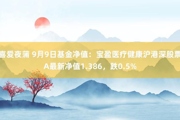 喜爱夜蒲 9月9日基金净值：宝盈医疗健康沪港深股票A最新净值1.386，跌0.5%