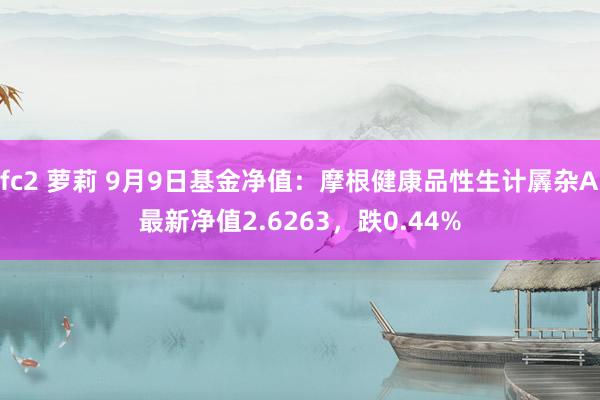 fc2 萝莉 9月9日基金净值：摩根健康品性生计羼杂A最新净值2.6263，跌0.44%