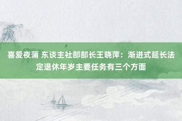 喜爱夜蒲 东谈主社部部长王晓萍：渐进式延长法定退休年岁主要任务有三个方面