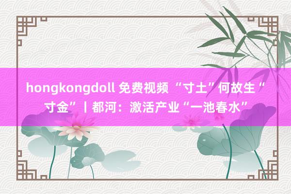 hongkongdoll 免费视频 “寸土”何故生“寸金”丨都河：激活产业“一池春水”