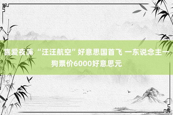 喜爱夜蒲 “汪汪航空”好意思国首飞 一东说念主一狗票价6000好意思元