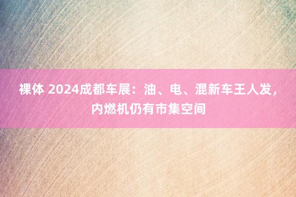 裸体 2024成都车展：油、电、混新车王人发，内燃机仍有市集空间