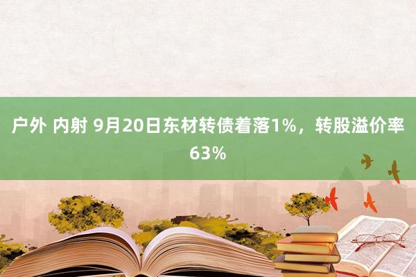 户外 内射 9月20日东材转债着落1%，转股溢价率63%