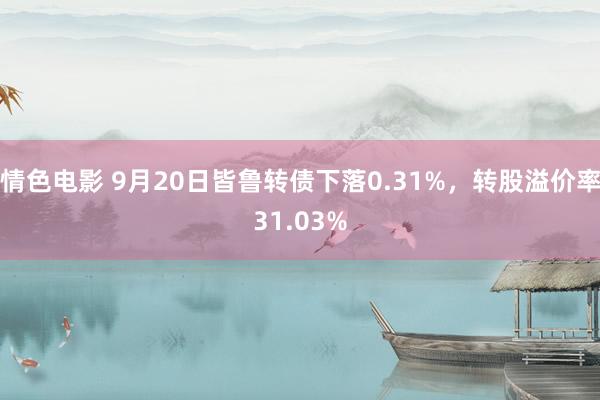 情色电影 9月20日皆鲁转债下落0.31%，转股溢价率31.03%