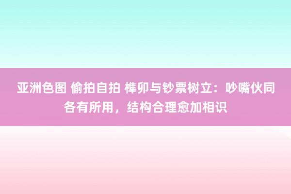 亚洲色图 偷拍自拍 榫卯与钞票树立：吵嘴伙同各有所用，结构合理愈加相识