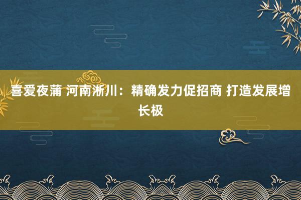 喜爱夜蒲 河南淅川：精确发力促招商 打造发展增长极