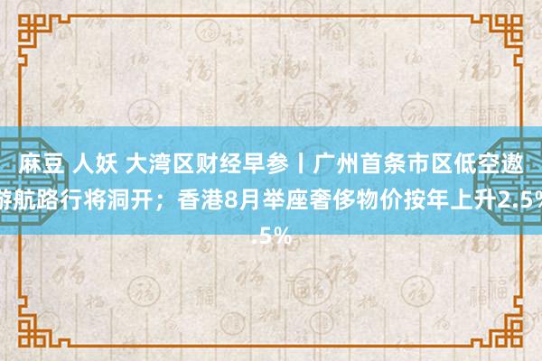 麻豆 人妖 大湾区财经早参丨广州首条市区低空遨游航路行将洞开；香港8月举座奢侈物价按年上升2.5%