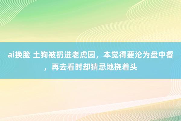 ai换脸 土狗被扔进老虎园，本觉得要沦为盘中餐，再去看时却猜忌地挠着头