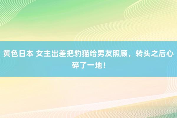 黄色日本 女主出差把豹猫给男友照顾，转头之后心碎了一地！