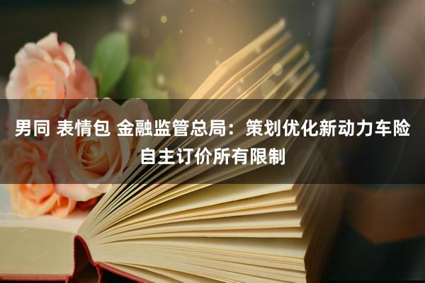 男同 表情包 金融监管总局：策划优化新动力车险自主订价所有限制