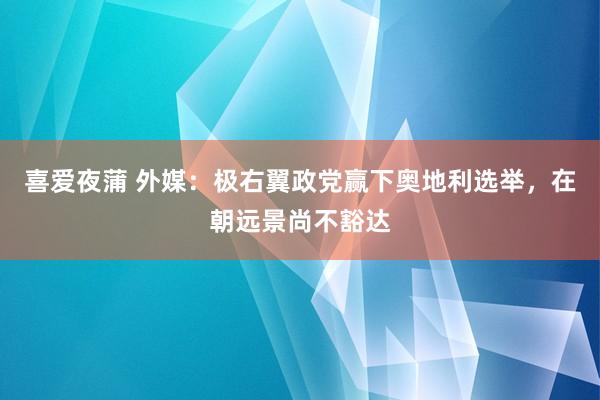 喜爱夜蒲 外媒：极右翼政党赢下奥地利选举，在朝远景尚不豁达