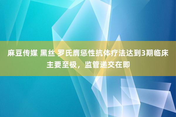 麻豆传媒 黑丝 罗氏膺惩性抗体疗法达到3期临床主要至极，监管递交在即