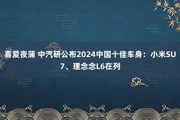 喜爱夜蒲 中汽研公布2024中国十佳车身：小米SU7、理念念L6在列