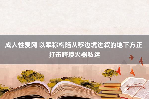 成人性爱网 以军称构陷从黎边境进叙的地下方正 打击跨境火器私运