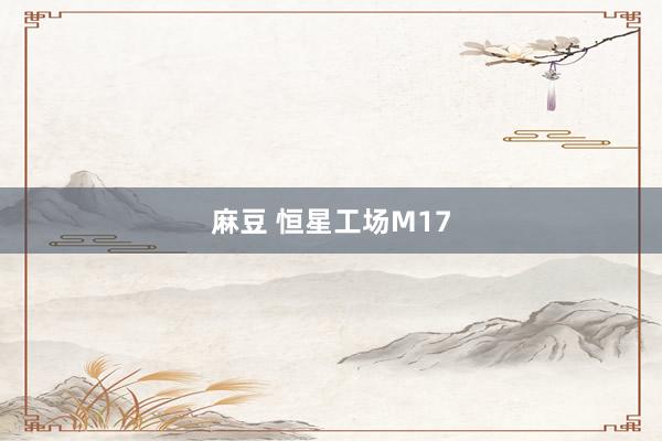 麻豆 恒星工场M17