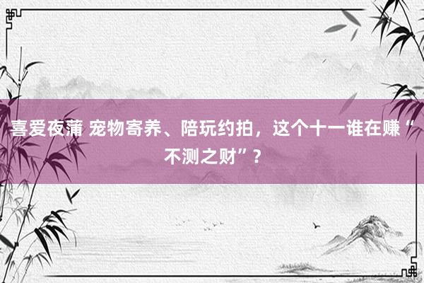 喜爱夜蒲 宠物寄养、陪玩约拍，这个十一谁在赚“不测之财”？