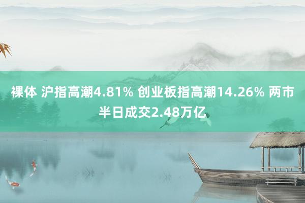 裸体 沪指高潮4.81% 创业板指高潮14.26% 两市半日成交2.48万亿