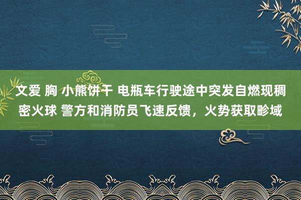 文爱 胸 小熊饼干 电瓶车行驶途中突发自燃现稠密火球 警方和消防员飞速反馈，火势获取畛域