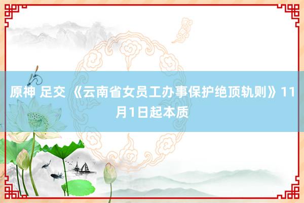 原神 足交 《云南省女员工办事保护绝顶轨则》11月1日起本质