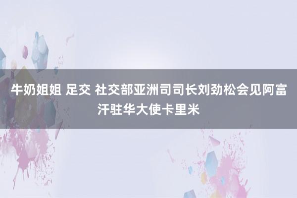 牛奶姐姐 足交 社交部亚洲司司长刘劲松会见阿富汗驻华大使卡里米