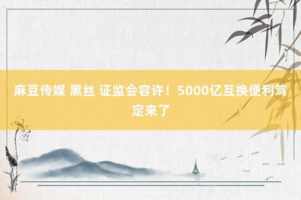 麻豆传媒 黑丝 证监会容许！5000亿互换便利笃定来了