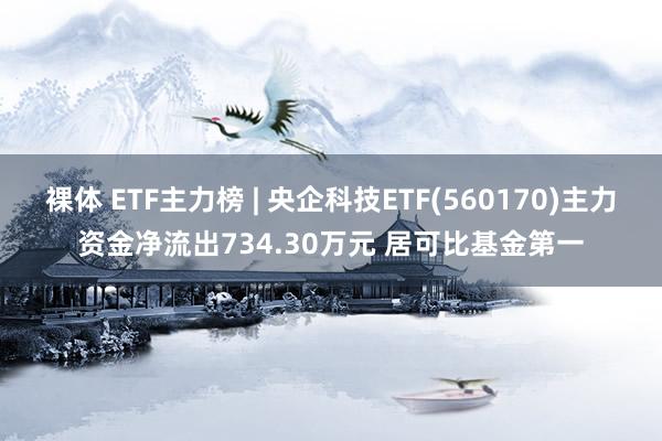 裸体 ETF主力榜 | 央企科技ETF(560170)主力资金净流出734.30万元 居可比基金第一