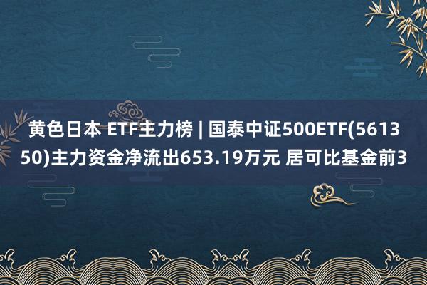 黄色日本 ETF主力榜 | 国泰中证500ETF(561350)主力资金净流出653.19万元 居可比基金前3