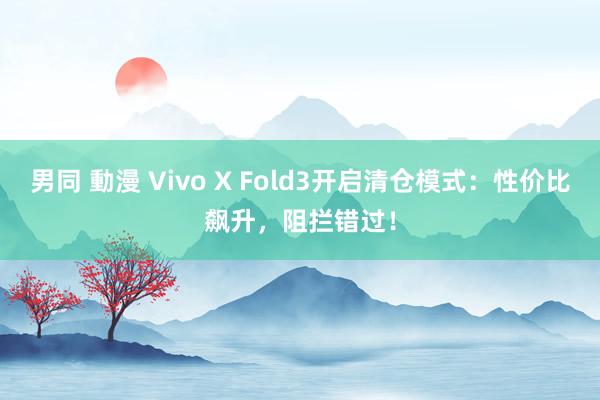 男同 動漫 Vivo X Fold3开启清仓模式：性价比飙升，阻拦错过！