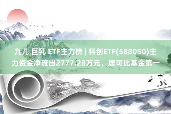 九儿 巨乳 ETF主力榜 | 科创ETF(588050)主力资金净流出2777.28万元，居可比基金第一