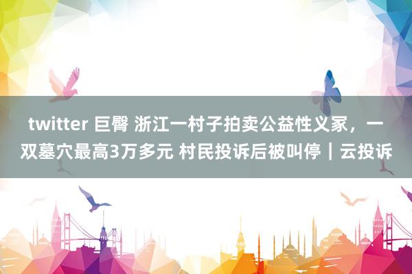 twitter 巨臀 浙江一村子拍卖公益性义冢，一双墓穴最高3万多元 村民投诉后被叫停｜云投诉