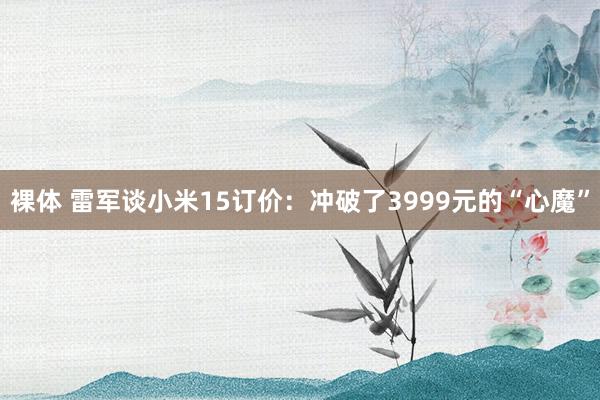 裸体 雷军谈小米15订价：冲破了3999元的“心魔”