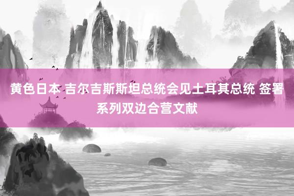 黄色日本 吉尔吉斯斯坦总统会见土耳其总统 签署系列双边合营文献