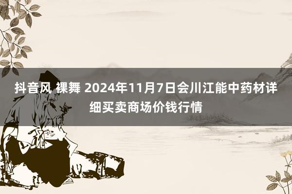 抖音风 裸舞 2024年11月7日会川江能中药材详细买卖商场价钱行情