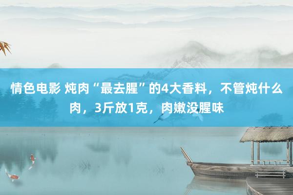 情色电影 炖肉“最去腥”的4大香料，不管炖什么肉，3斤放1克，肉嫩没腥味