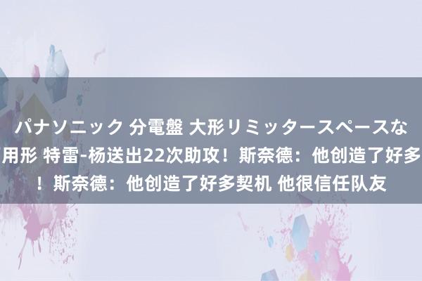 パナソニック 分電盤 大形リミッタースペースなし 露出・半埋込両用形 特雷-杨送出22次助攻！斯奈德：他创造了好多契机 他很信任队友