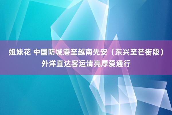 姐妹花 中国防城港至越南先安（东兴至芒街段）外洋直达客运清亮厚爱通行