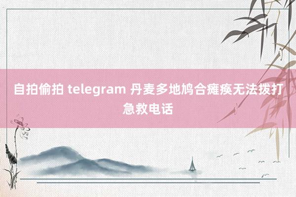 自拍偷拍 telegram 丹麦多地鸠合瘫痪　无法拨打急救电话