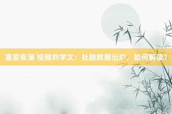 喜爱夜蒲 投顾刘学文：社融数据出炉，如何解读？