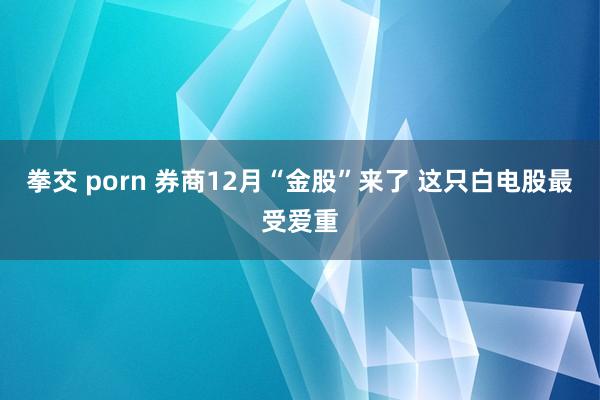 拳交 porn 券商12月“金股”来了 这只白电股最受爱重