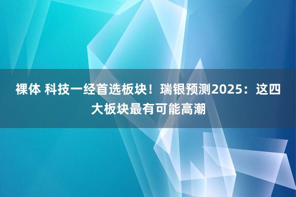 裸体 科技一经首选板块！瑞银预测2025：这四大板块最有可能高潮