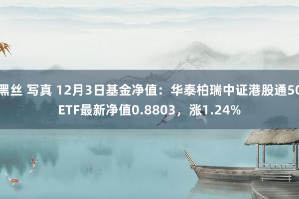 黑丝 写真 12月3日基金净值：华泰柏瑞中证港股通50ETF最新净值0.8803，涨1.24%