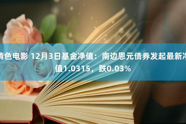 情色电影 12月3日基金净值：南边恩元债券发起最新净值1.0315，跌0.03%