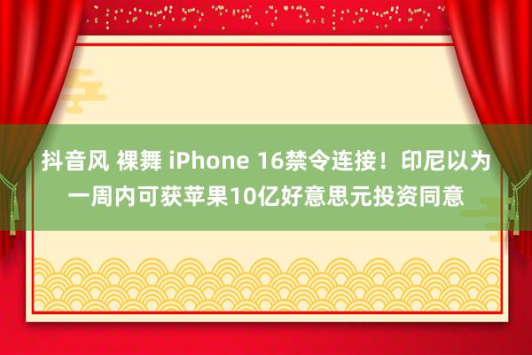 抖音风 裸舞 iPhone 16禁令连接！印尼以为一周内可获苹果10亿好意思元投资同意