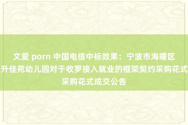 文爱 porn 中国电信中标效果：宁波市海曙区高桥镇联升佳苑幼儿园对于收罗接入就业的框架契约采购花式成交公告